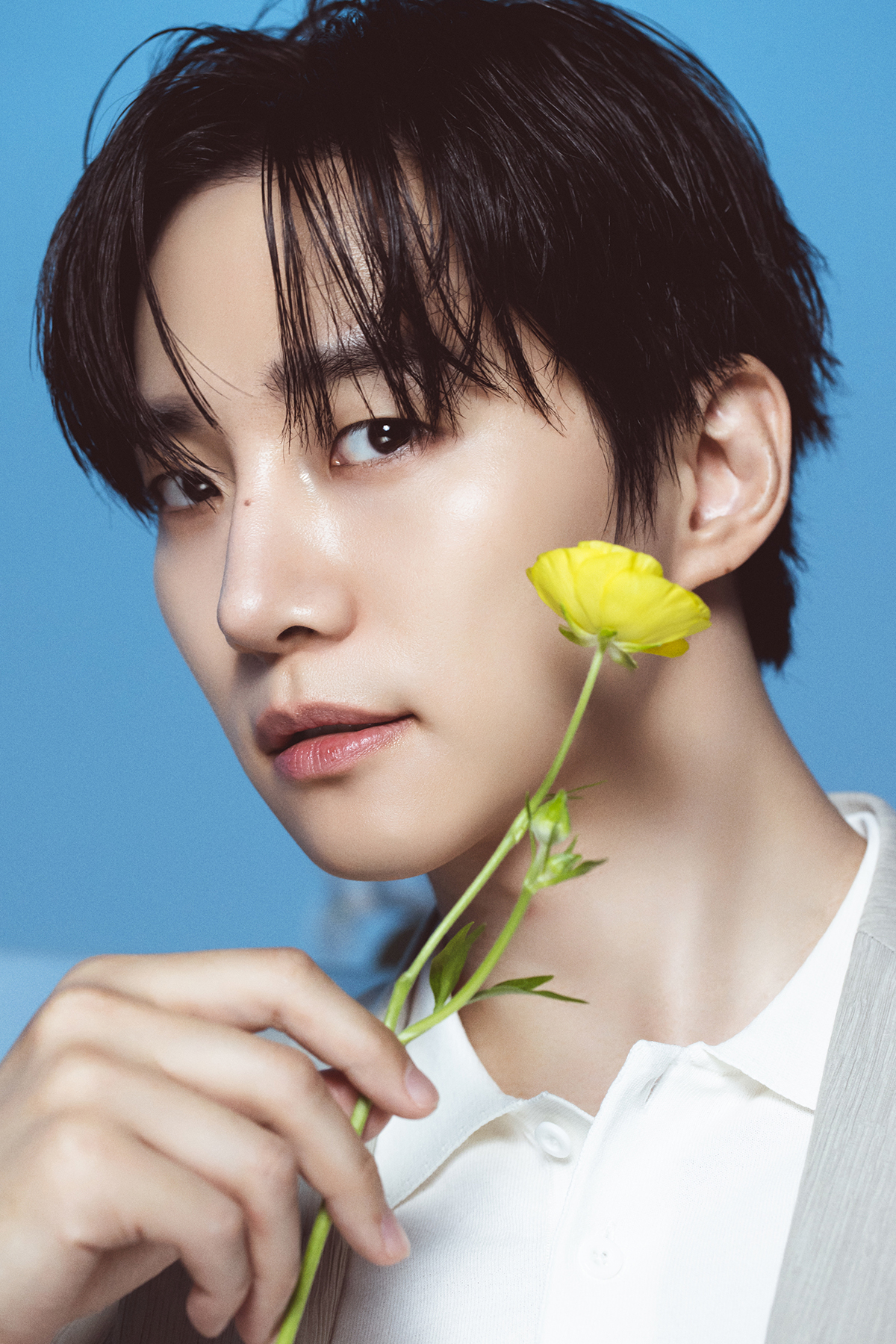 ����Ŭ����, [26SS][����ȣ PICK] LMM51781, �ָ��� ī�� ��Ʈ ž